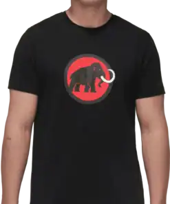 Alternative view of MAMMUT CORE T-SHIRT M CLASSIC